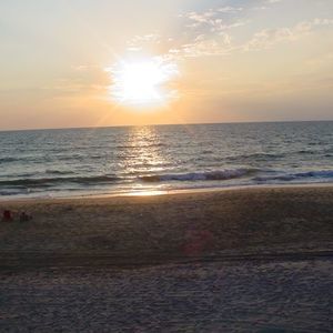 Meet your Posher, Bonnie